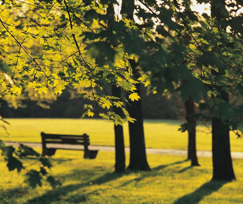 Our History for website